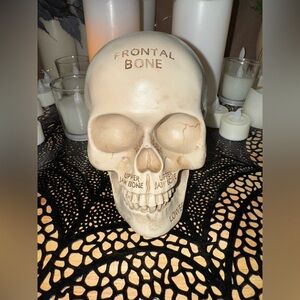Skull home decor